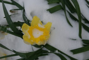 Lire la suite à propos de l’article Antrevoir Mars 2022