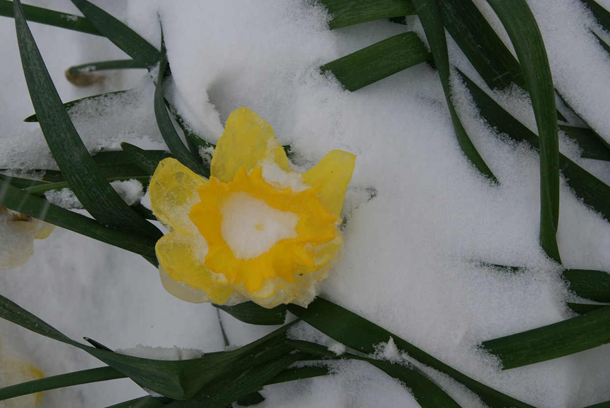 You are currently viewing Antrevoir Mars 2022